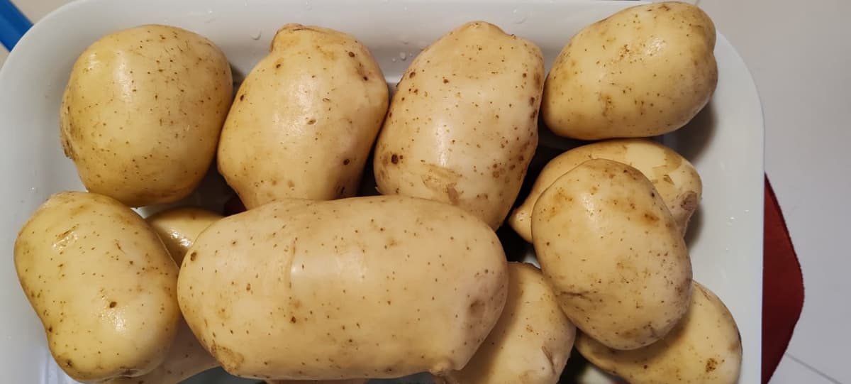 Potato Farm in Gurage arekt farm